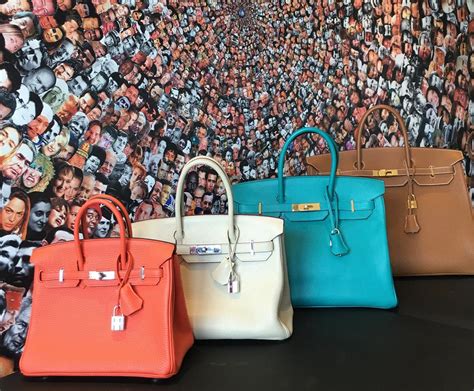 birkin bag stolen